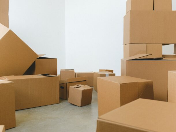 Euro-Kartons und Kartonverpackungen oder wie wir das Potenzial ökologischer Rohstoffe nutzen